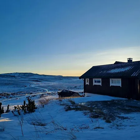 Renovated Mountain With Mountain Views *